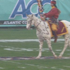 Meet your Posher, Cathy